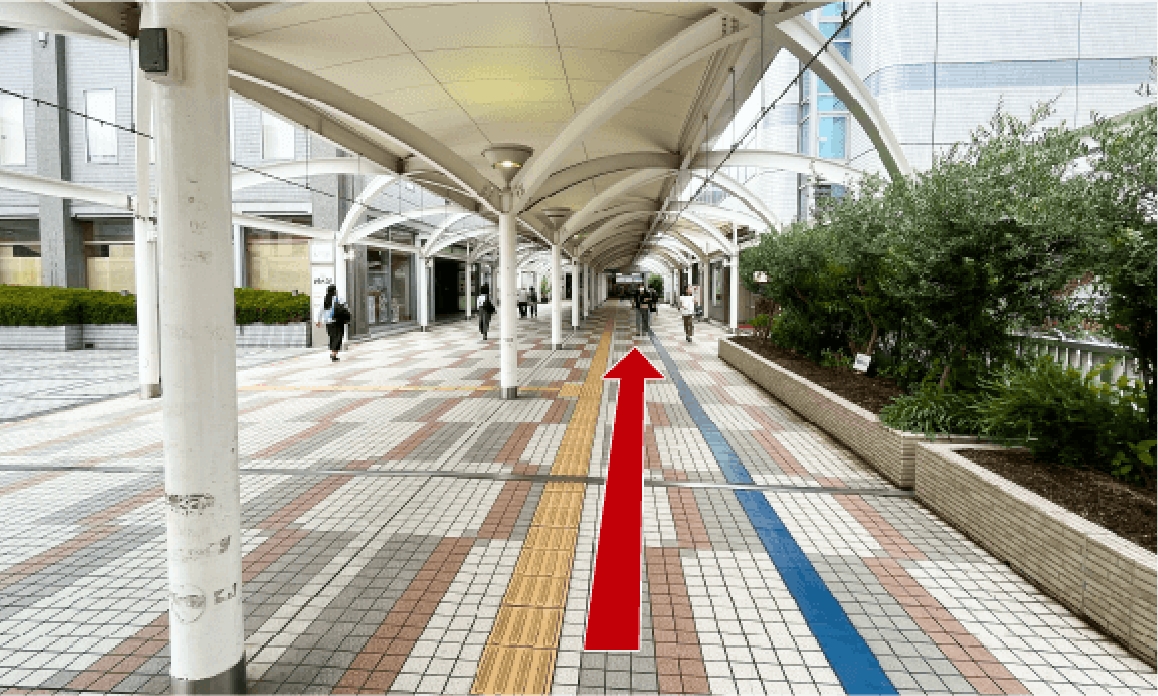 駐車場から店舗への行き方