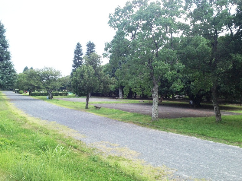 グレース嵐山 京都府立嵐山東公園