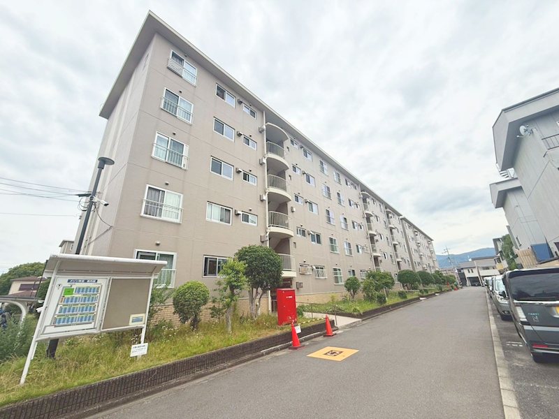 現地写真